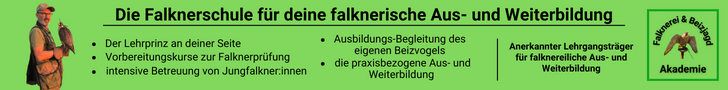 Falknerei & Beizjagd Akademie